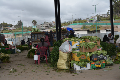 Situación. Hay desorden e incomodidad entre los comerciantes y visitantes del mercado Santa Clara.
