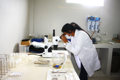 Una de las científicas del Centro de Innovación analiza el desarrollo de los organismos producidos.
