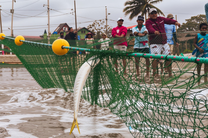 Los visitantes participaron del jale de la red, convirtiéndose en parte activa de la tradición.