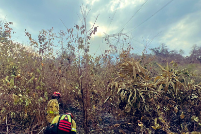 Bomberos combaten incendio