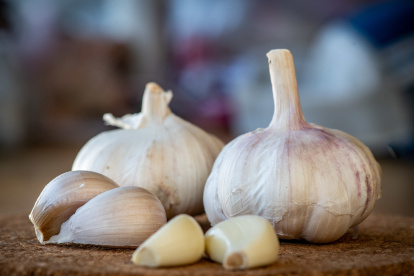 Historia y poder medicinal del ajo