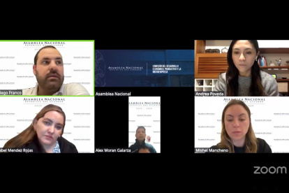 La Comisión de Desarrollo Económico es presidida por el oficialista Diego Franco.