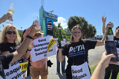 Activistas de la organización Personas por el Trato Ético de los Animales (PETA) sostienen carteles el 12 de octubre de 2025, en Miami (Estados Unidos).