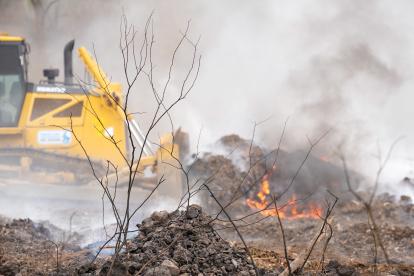 El incendio afectó también a la fauna local.