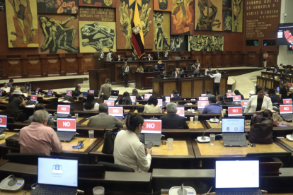 El Pleno de la Asamblea debatió la ley urgente que permitiría donaciones privadas a la Policía y Fuerzas Armadas.