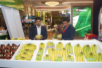 Banana Time se celebrará en el hotel Hilton, hasta este viernes 17 de octubre.