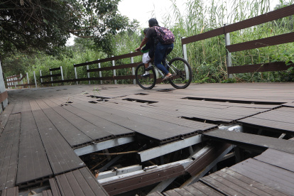 Comuneros de la isla Santay aún utilizan la caminera para movilizarse en bicicleta, aunque existe el riesgo de tener un siniestro.