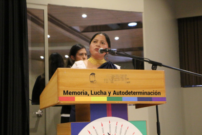 Ercilia Castañeda, vicepresidenta de la Conaie, se pronunció sobre las acusaciones del Gobierno