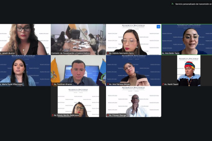 La sesión de la Comisión de Fiscalización se desarrolló de forma virtual este 17 de octubre de 2025.