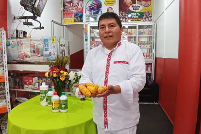 La mashua es un tubérculo ancestral que crece en lo alto del páramo ecuatoriano y que tiene propiedades nutricionales y medicinales.