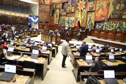 La Asamblea Constituyente estará conformada de 80 asambleístas.
