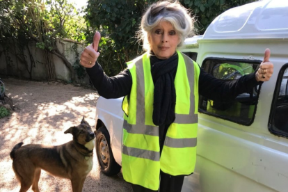Luego de una operación de la que se desconocen las causas, Brigitte Bardot ha regresado para recuperarse en su residencia ubicada al sur de Francia.
