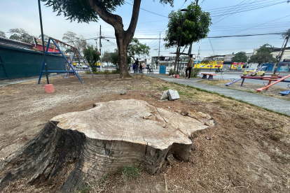Guayacanes. Esta zona cuenta con varios parques, pero muchos tienen árboles mutilados.
