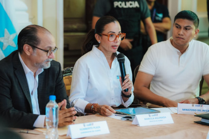 La prefecta intervino en el Consejo de Seguridad Provincial