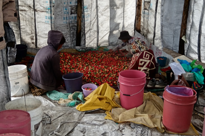 Mujer. Una fecha que destaca la importancia de la mujer rural en el país.