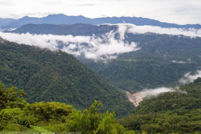 El Corredor Podocarpus Yacuri abarca un rango de altura de 680 a 3.880 metros, lo que crea 28 ecosistemas distintos.
