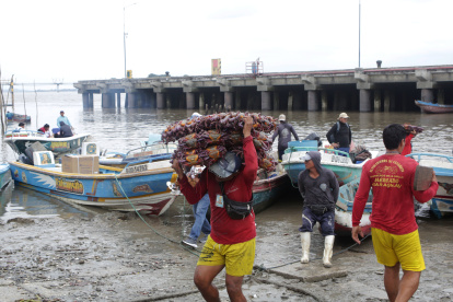 Los pescadores artesanales se han convertido en guardianes del manglar.