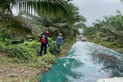 Agricultores alertan, que además de contaminación en los ríos, hay daños en sus cultivos y animales.