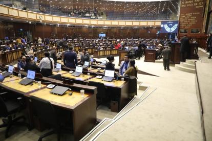 El oficialismo planteó el respaldo al Gobierno de Daniel Noboa ante la minería ilegal.