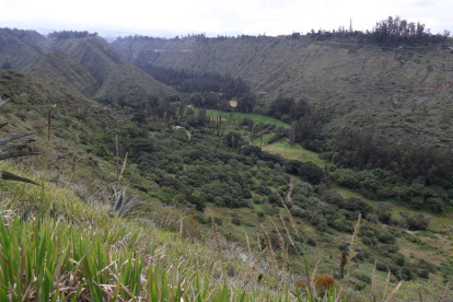 El valle de Uravía es una zona boscosa y rica en humedales, que cuenta con protección ecológica otorgada por el Municipio de Quito.