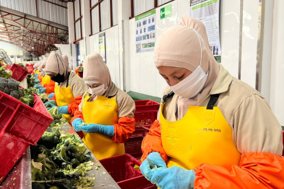 Comparativa: Salario básico en Ecuador versus otros países de América Latina.