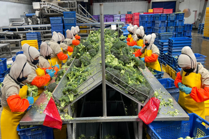 Ecuador: ¿Cómo afecta el aumento del salario básico a pequeñas y medianas empresas?