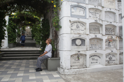 Visita. En Guayaquil, cada rincón del Cementerio Patrimonial de Guayaquil es diverso; en algunas zonas se observan plantas nativas.