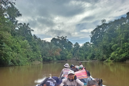 Expedición. Especialistas monitorearon a los delfines.