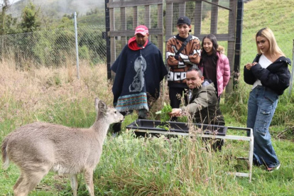 Rescate. Las especies rescatadas son devueltas a su hábitat.