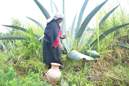 Bebida. El Tzáwar Mishki es elaborado con técnicas ancestrales.