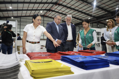 Las encuestas muestran un electorado fragmentado. El 48% votaría por el “Sí” y el 42% por el “No”.