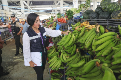 El plátano verde se mantiene caro en los mercados de Ecuador.
