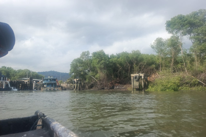 Pescadores denuncian que la tala también removió el lodo, imposibilitando una reforestacióin