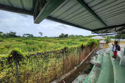 Descuido. Lo que a simple vista puede parecer un bosque, no es más que el diamante de béisbol del CEAR de Rioverde atestado de maleza y vegetación. Así hay más.