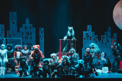 La historia ha enamorado a audiencia desde 1981 y ha cautivado a millones en escenarios de todo el mundo.