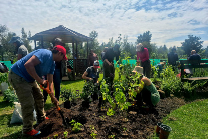 Voluntarios del Semillero Ciudadano y del equipo técnico del proyecto Hábitats Ecológicos Urbanos participaron en la siembra.