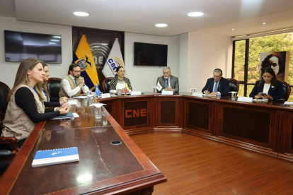 La delegación de la misión electoral de la OEA está encabezada por el ex vicecanciller de Uruguay, Nicolás Albertoni.