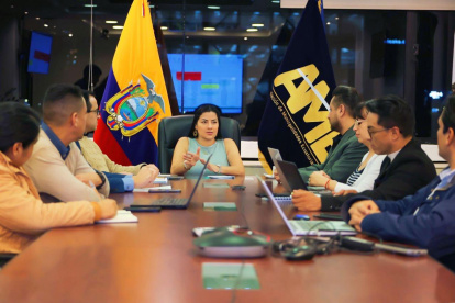 Un juez constitucional ratificó a Yuri Colorado como presidenta de AME.