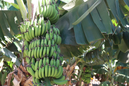 Referencial. Ecuador resalta los avances del nuevo acuerdo comercial.