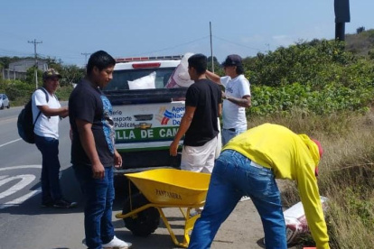 Jóvenes en Acción realizando labores en sus comunidades