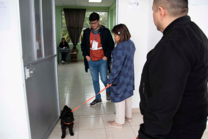 Varios ciudadanos llegaron a sus recintos electorales con sus mascotas.