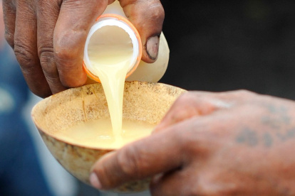 La ESPOL estudia el valor nutricional y cultural de bebidas fermentadas como la chicha de yuca y la chicha de chonta, pilares de la alimentación indígena amazónica.