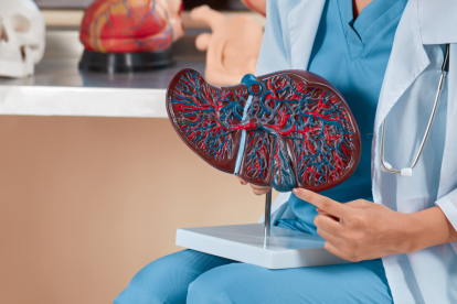 Guía definitiva con los mejores remedios naturales para el hígado graso