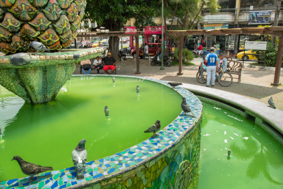 El agua acumulada en la pileta del Parque Central de Milagro representa un peligro para la salud pública por la posible generación de enfermedades.