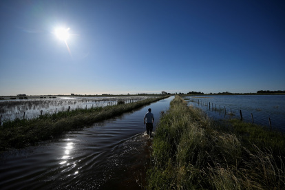 Un hombre camina por una carretera inundada debido a las fuertes lluvias en 9 de Julio, provincia de Buenos Aires, Argentina, el 5 de noviembre de 2025.