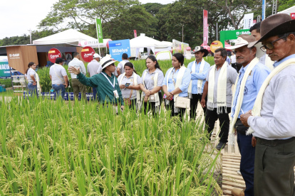 Capacitación. Expertos del congreso muestran a agricultores mejores técnicas de productividad.
