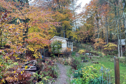 Suecia apuesta por el silencio de sus bosques como antídoto al ruido del mundo.