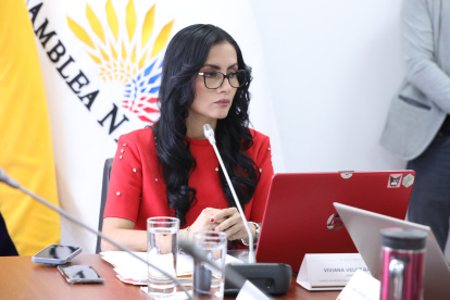 Viviana Veloz exige detalles de costos y resultados del viaje presidencial a EE.UU.