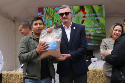 Nueva variedad de trigo aumentará la producción en 10%.