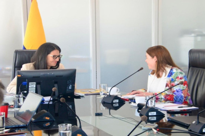 El equipo técnico del FMI, liderado por Patrizia Tumbarello, mantuvo conversaciones remotas y presenciales con autoridades ecuatorianas (foto referencial).